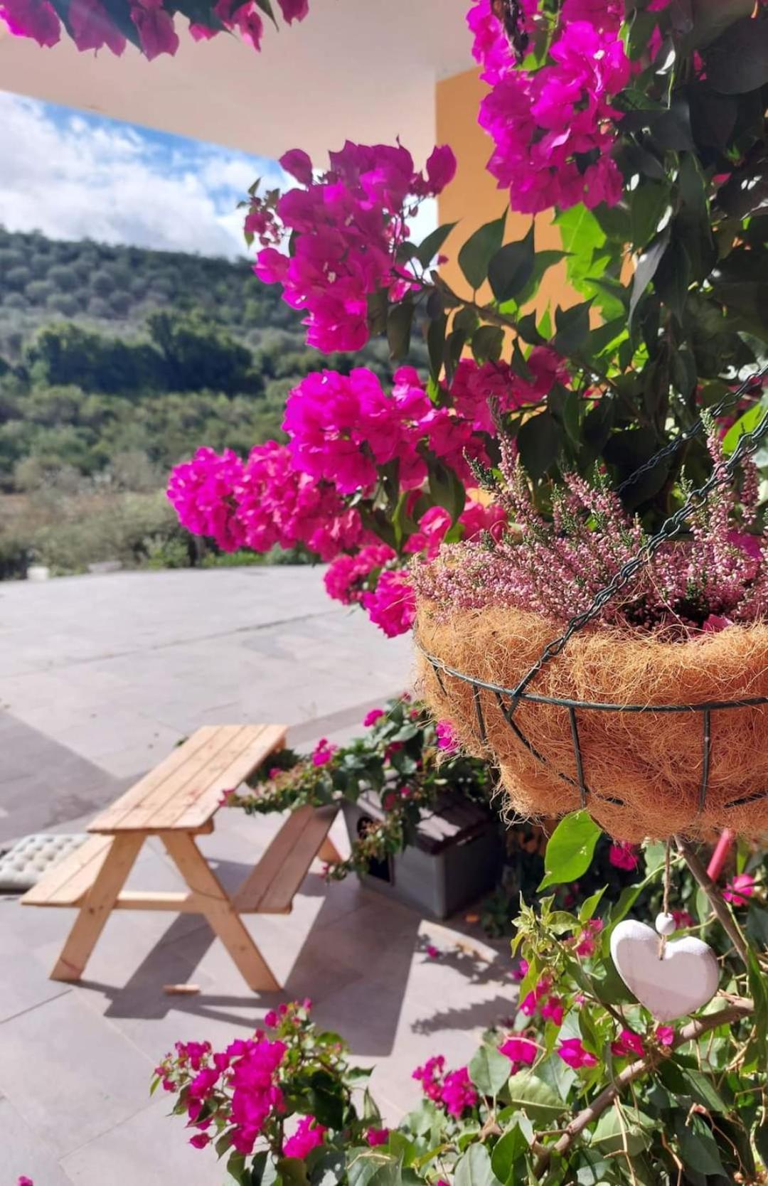 Villa I Sogni Sennori Zewnętrze zdjęcie